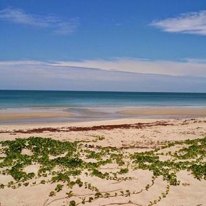 Meet your Posher, Maureen